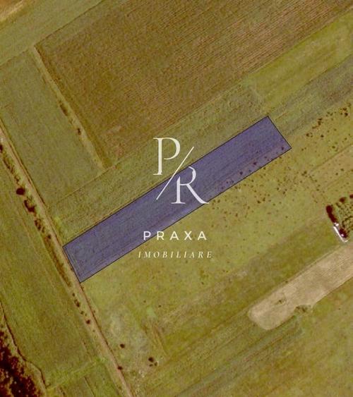 Teren extravilan, 4940 mp, zona Dealul Fanatelor! - 1