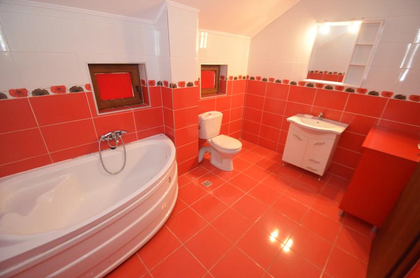 Casa individuala de inchiriat - 8