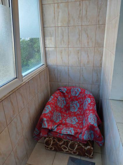 Apartament conf I, Radu Negru - 5