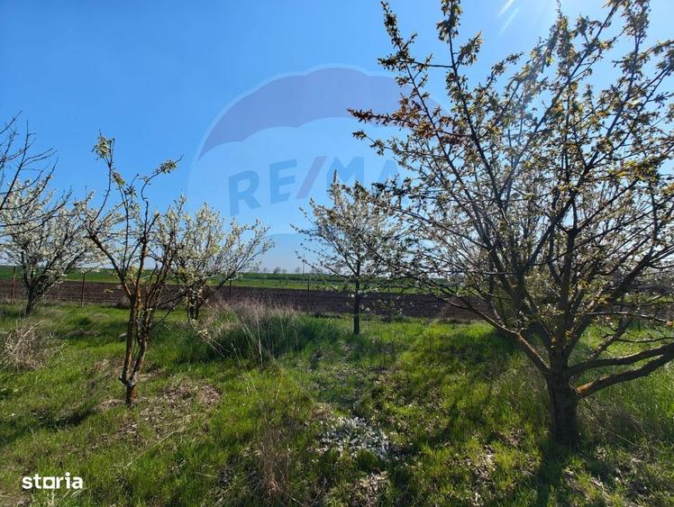 Casa de vanzare cu teren de 2175 mp,anexe si livada generoasa | Mailat - 15
