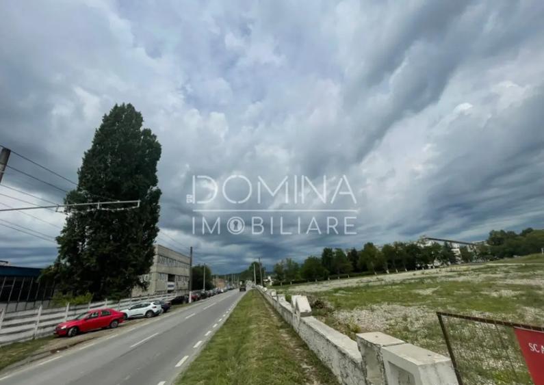 Teren intravilan, vad comercial, in Barse?ti, la DN 67D - 4