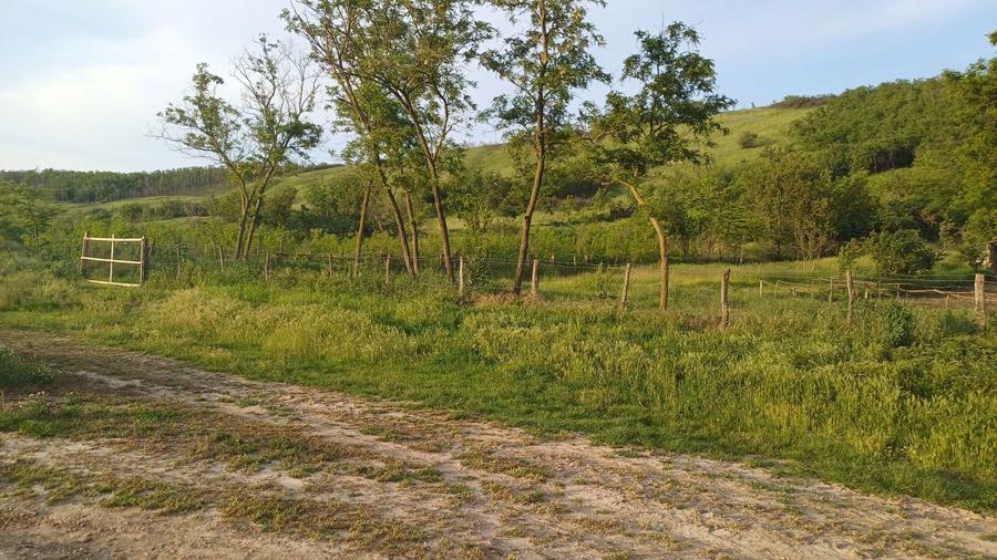 Casa cu teren 1 hectar in sat Roscani, la 40 km de Iasi. - 8