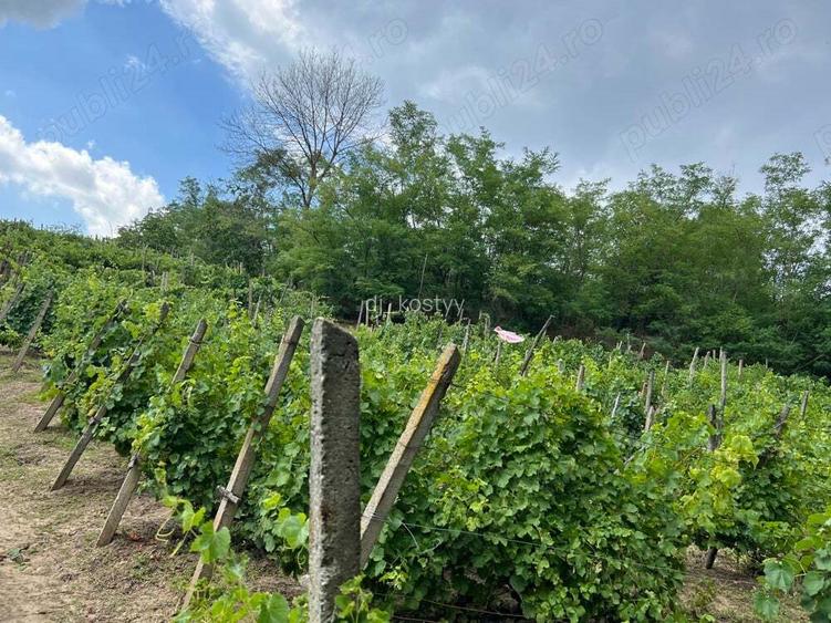 Vand Casa in sat Plopi com. Bunesti-Averesti