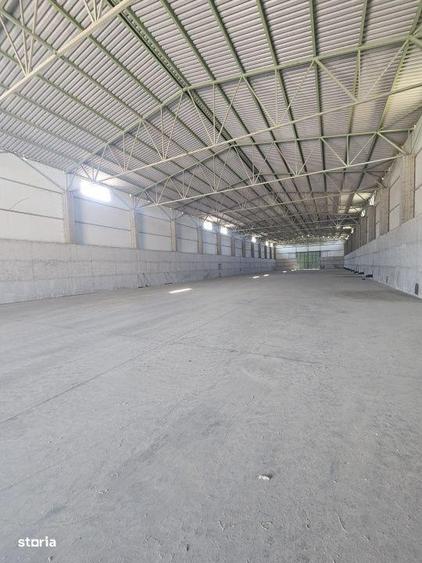 Proprietate agroindustriala, hala 1590 mp, teren 28000 mp, panouri 398 - 12