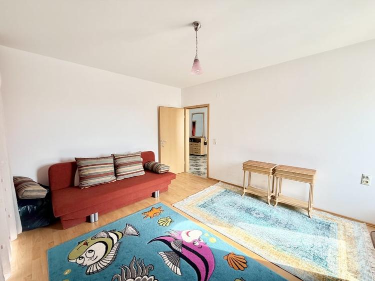 Casa individuala 8 camere Mosnita Veche ideala locuinta sau business - 9