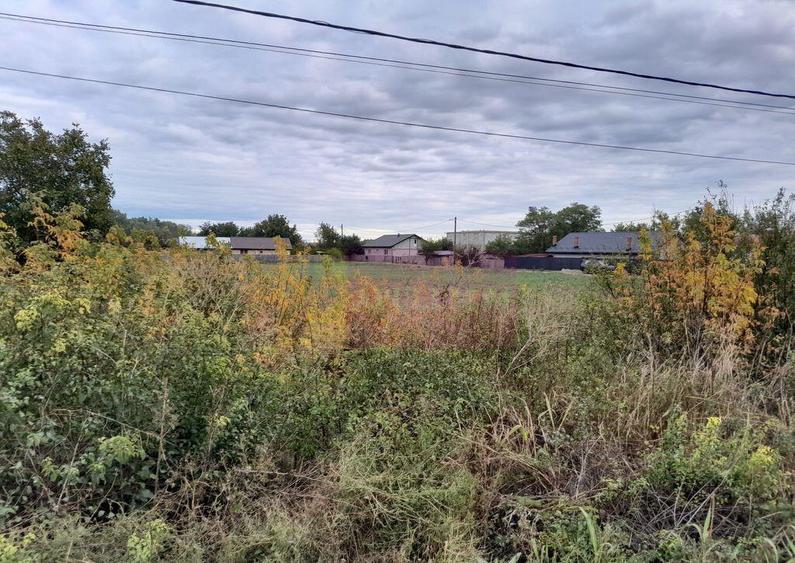 COSERENI( il ) - TEREN 2K MP DE VANZARE (52 M DESCHIDERE ... - 8