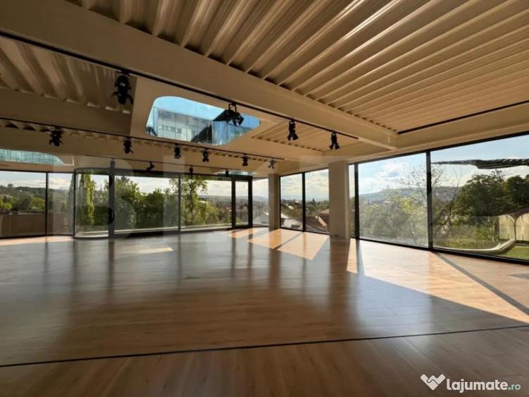 Spatiu modern in cladire unicat - 6