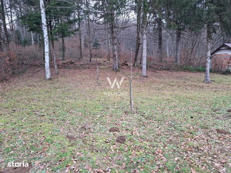 Teren deosebit pozitionat, cu livada, langa padure, pe Valea Avrigulu - 4