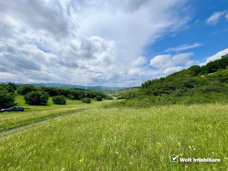 Oportunitate investitie, teren cu panorama pentru cabane - 1