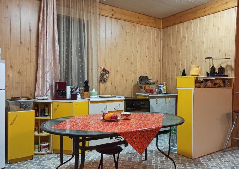 Casa ( P+E ) Zona Mitocasi-Mitocul Dragomirnei - 10