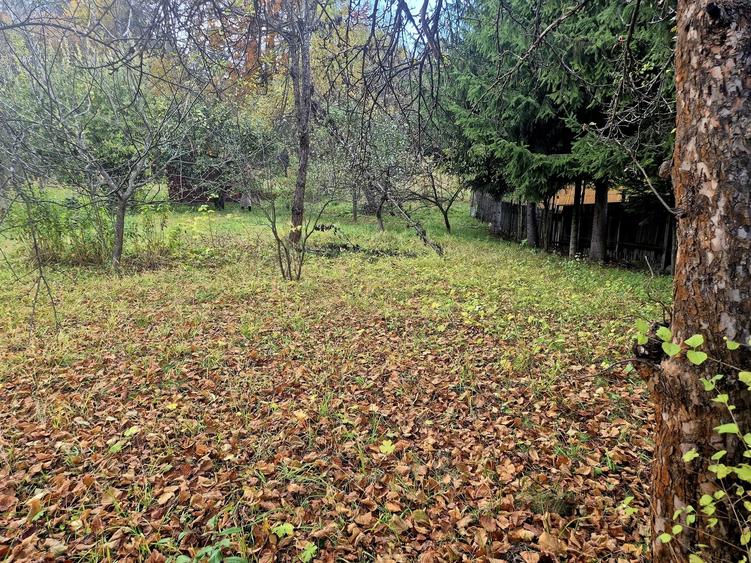 Casa de vacanta Timisu de Sus/Brasov/Oportunitate investitie - 21