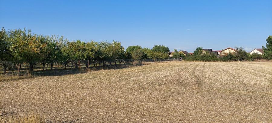 Terren intravilan in Sag jud. Timis - 7