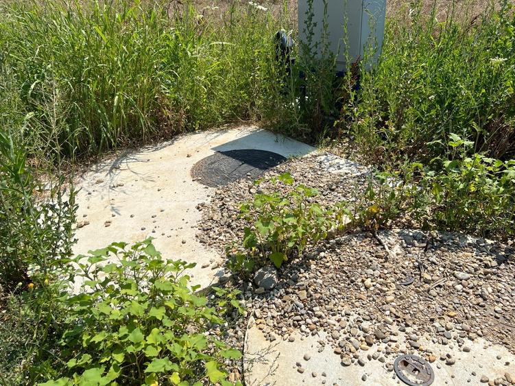 Ciolpani -Ilfov - teren 4000 mp - 8