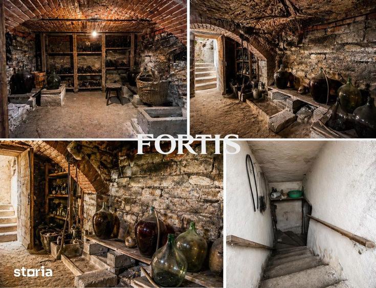 Casa de vanzare in Fagaras, zona 13 Decembrie 0% COMISION - 4