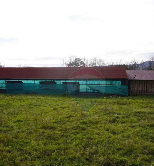 Vand Teren + Ferma+ Balta de peste in Comuna Sapanta judetul Maramures - 1