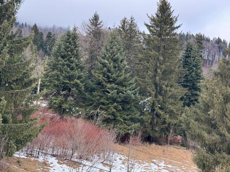 Apartament 2 camere  complex Chatel Doga Sinaia + loc parcare  inclus - 14