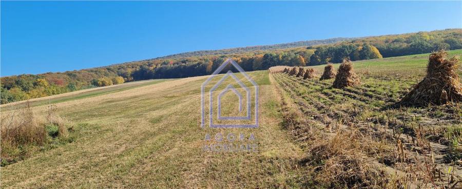 Teren constructie casa, Ilies, Dolhasca - 3