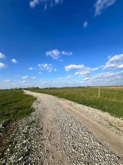 RECO teren de vanzare in zona Tarian - 3