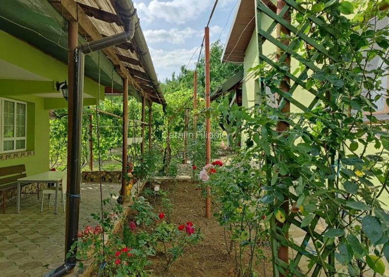 Proprietate cu 2 corpuri de locuinta, Baicoi Proprietate cu 2 corpuri de locuinta, Baicoi