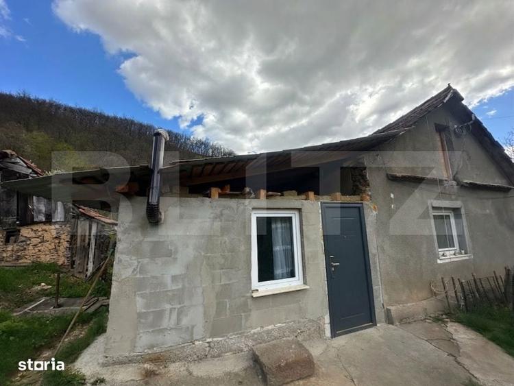 Casa cu 2.2 ha teren, liniste totala, livada, acces asfaltat - 13