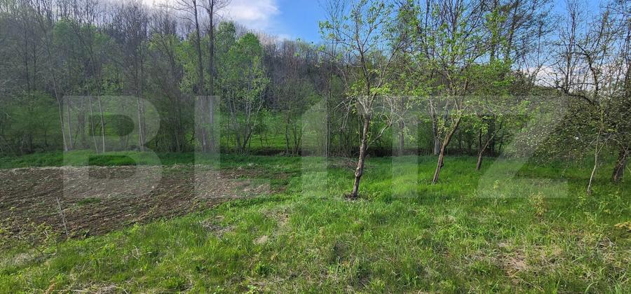 Teren 6650 mp, cu casa nefinalizata de 111 mp, in Nisipoasa. - 8