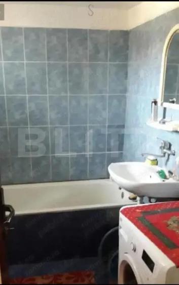 Doua case intr-o curte de 952 mp, Paleu-liniste, spatiu, potential langa Oradea - 8