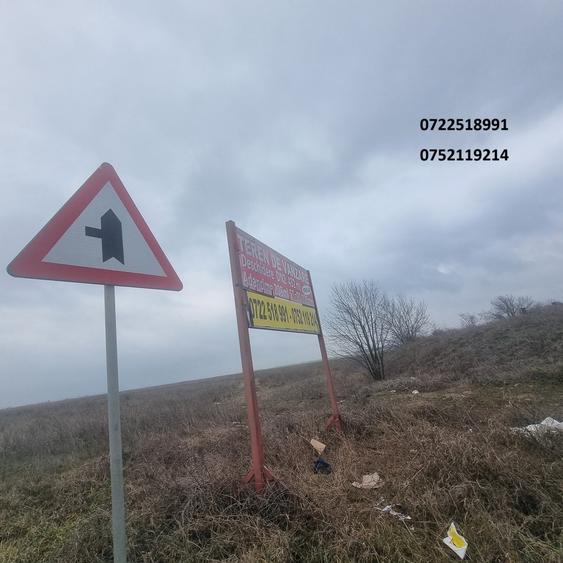 Teren cu potential, 90000 mp, DN2, Afumati, Sindrilita, 18 e/mp - 5