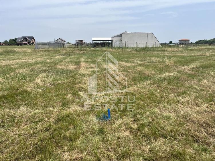 Teren intravilan pentru hala 1518 Remetea Mare in apropiere de Bega - 3