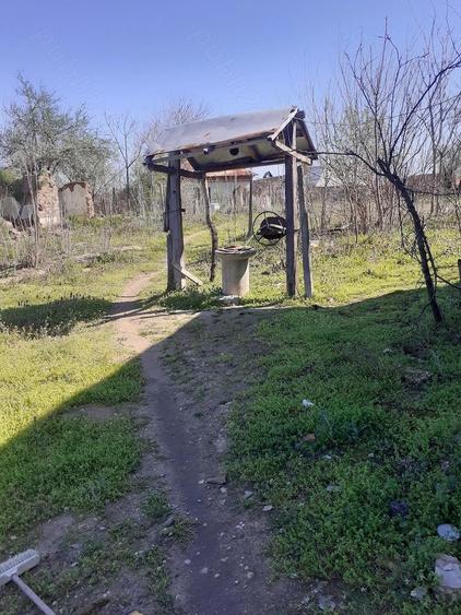 vand proprietate in mediu rural la 5 km de Dunare - 7