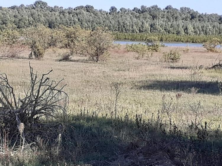 OCAZIE : INTRAVILAN com. MURIGHIOL - 19 euro/m.p. Deschidere Dunare  74 m. - 7