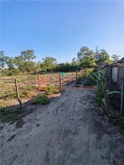 Casa tip parter + teren zona Maxenu - 11