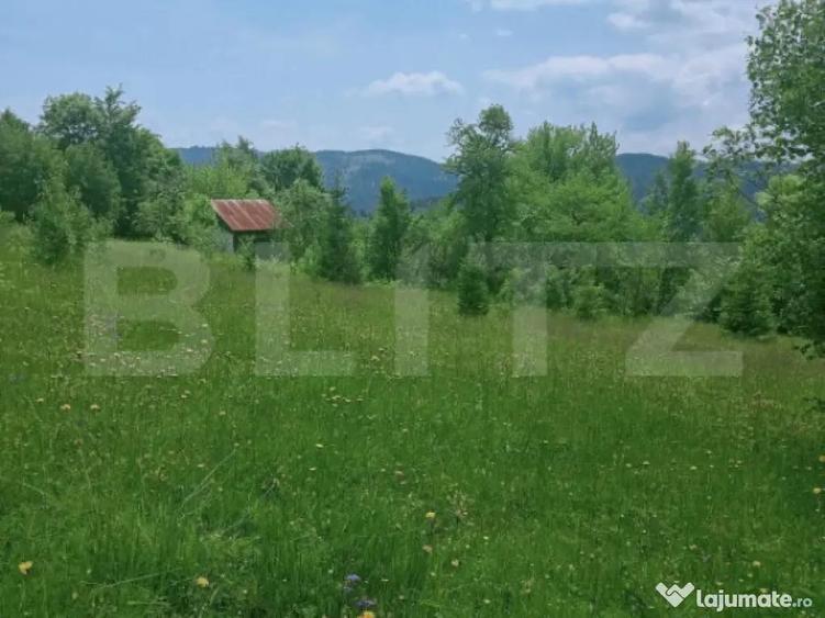 Teren intravilan de vanzare, 12000mp, Trance?ti, Scari? - 5