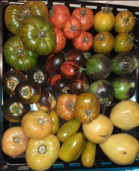 Proprietate de vanzare langa Bucuresti - 10