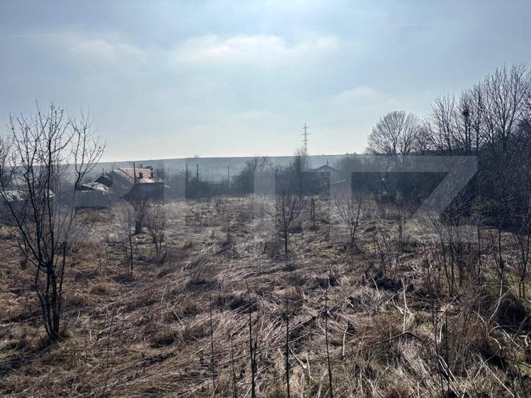 Teren IV 5.358 mp, front 30 ml, toate utilitatile, Teisani – Ghercesti - 4