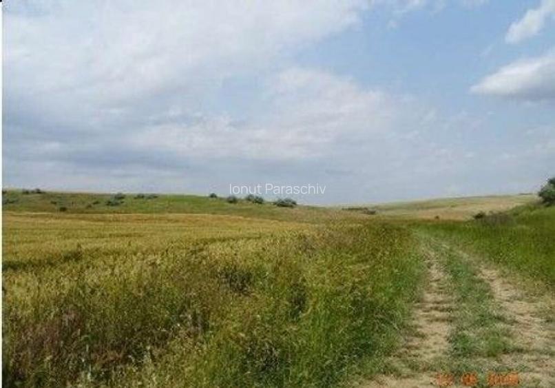 Teren extravilan Oltina, cota parte 1/2, ID: R2610910 Teren extravilan Oltina, cota parte 1/2, ID: R2610910