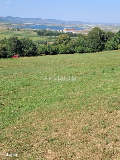 Teren 1,17 ha la padure cu vedere la raul Olt