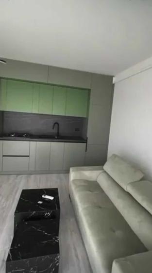 Apartament 2 camere de inchiriat, str Alexandru cel bun - 2