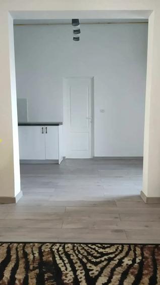 Apartament cu 2 camere nedecomandat în Podgoria