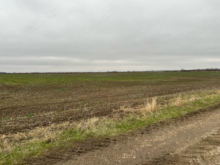 Teren de 15500 mp, în Tărtășești