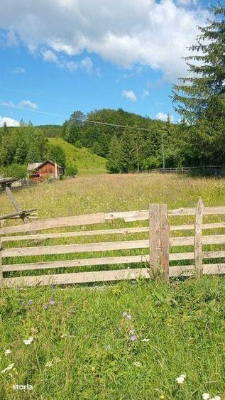 Teren de 2700 mp, în Valea Doftanei
