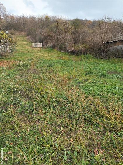 Teren de 1400 mp, în Budeasa