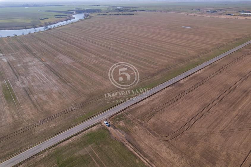 Teren Construcții intravilan de 17500 mp, în Frumușani