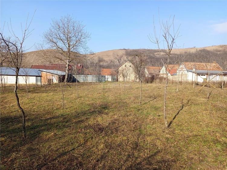 Teren de 1800 mp, în Ciclova Română