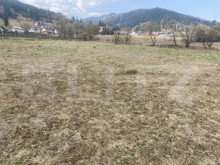 Teren Construcții intravilan de 4047 mp, în Exterior Vest