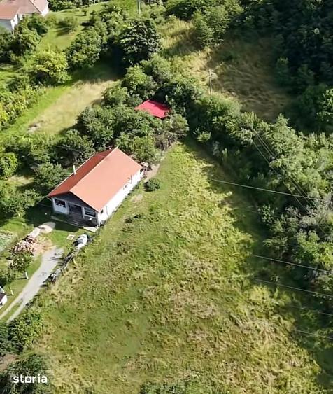 Teren de 1560 mp, în Săsciori
