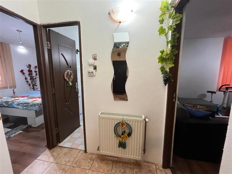 Lugoj, Ap. Superb, 2 Cam. 83 MP. Parter - 13