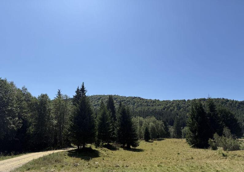 SUPER OCAZIE - Teren intravilan, COMANDAU-PUZ case de vac... - 5