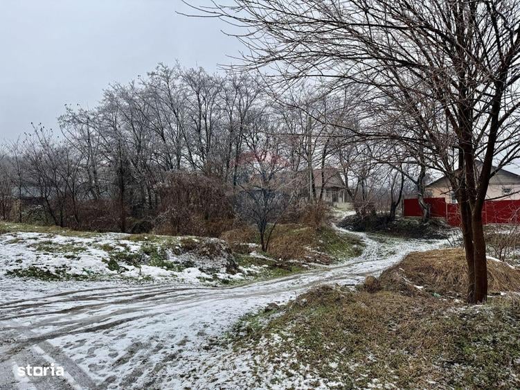 Casa Bolotesti / Vitanestii de Sub Magura - 18