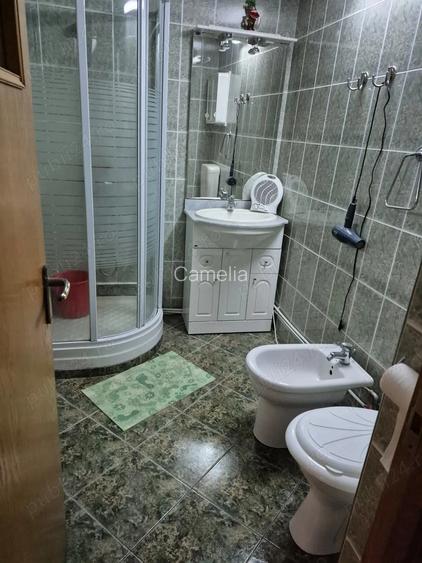 Apartament 3 camere decomandat Teilor
