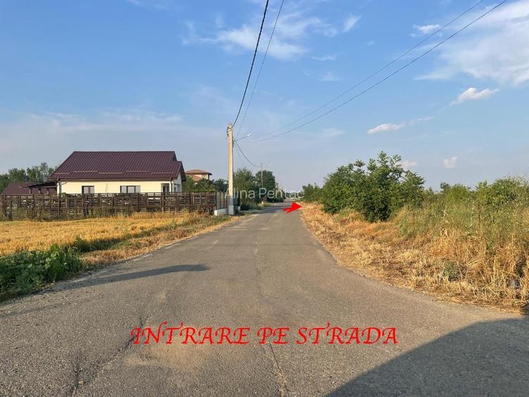 TEREN DE CASA INTRAVILAN, Gradistea,IF, la 20 de minute de Bucuresti 37000 E TEREN DE CASA INTRAVILAN, Gradistea,IF, la 20 de minute de Bucuresti 37000 E
